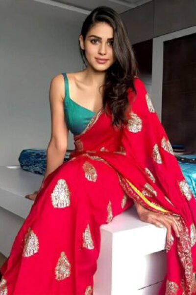 Escort Services Badshah Nagar